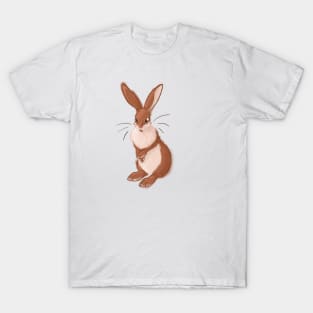 Fluffy Easter Bunny T-Shirt